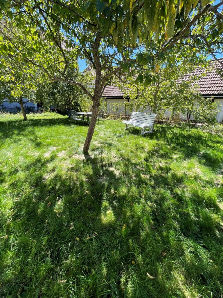 Jardin-2
